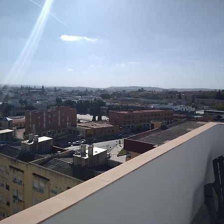 Апартаменти Atico/Estudio Cerca Del Centro De Jerez Херес-де-ла-Фронтера Екстер'єр фото